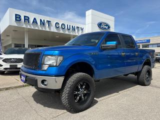 Used 2014 Ford F-150 XLT for sale in Brantford, ON