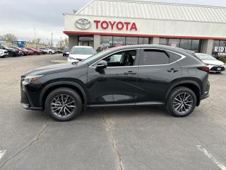 Used 2022 Lexus NX 250 for sale in Cambridge, ON