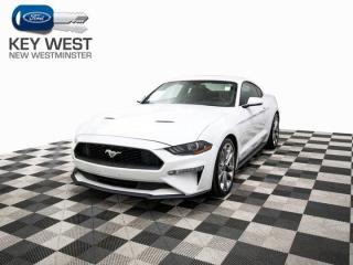 Used 2019 Ford Mustang EcoBoost Cam Sync for sale in New Westminster, BC