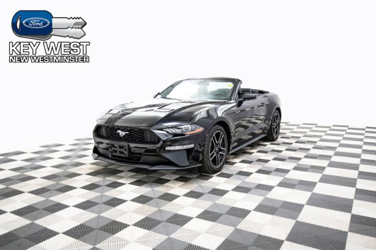 New 2023 Ford Mustang EcoBoost Premium Convertible for sale in New Westminster, BC