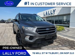 The 2018 Ford Escape Titanium blends performance and comfort with its 2.0L engine and AWD capability. Equipped with a moonroof and navigation system, it offers a premium driving experience. Whether navigating city streets or tackling rough terrain, its versatility shines through.