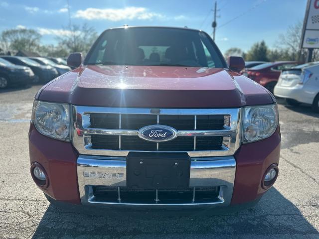 2011 Ford Escape 4WD V6 Limited Photo5