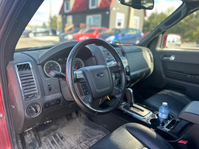 2011 Ford Escape 4WD V6 Limited Photo9