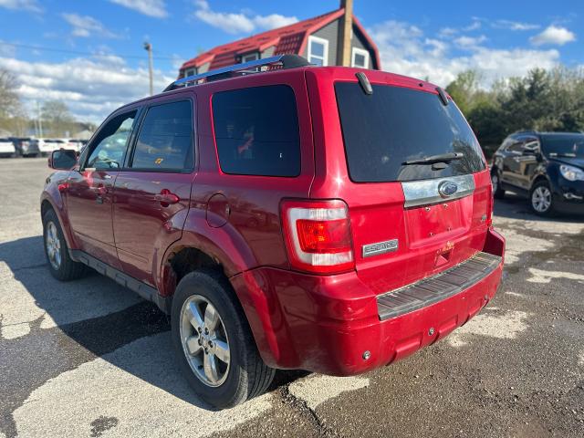2011 Ford Escape 4WD V6 Limited Photo3