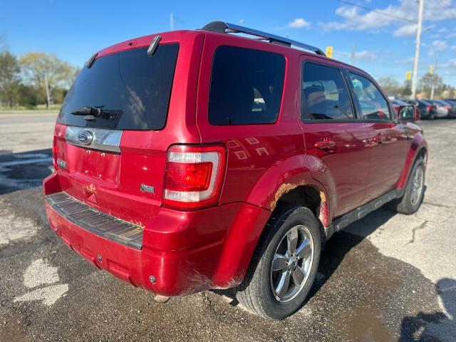2011 Ford Escape 4WD V6 Limited Photo2