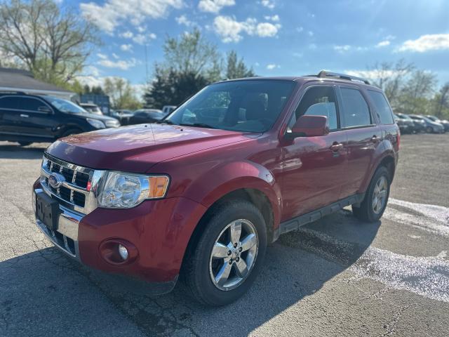 2011 Ford Escape 4WD V6 Limited Photo4