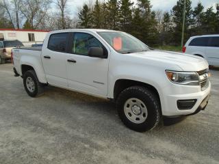 Used 2020 Chevrolet Colorado Crew Cab 4x4 for sale in Beaverton, ON