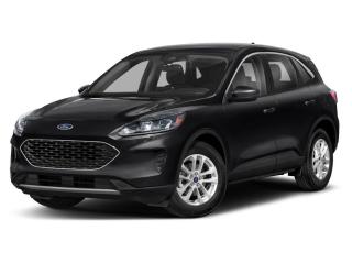 Used 2020 Ford Escape SE for sale in Waterloo, ON