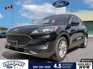 Used 2020 Ford Escape SE ONE OWNER | REAR CAMERA | FWD for sale in Waterloo, ON