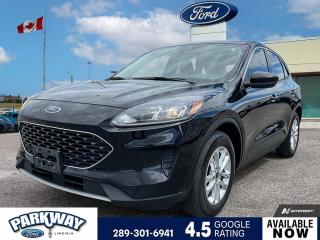 Used 2020 Ford Escape SE ONE OWNER | REAR CAMERA | FWD for sale in Waterloo, ON