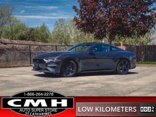<b>ONLY 8,500 KMS !! 5.0L V8 !! MANUAL !! NAVIGATION, REAR CAMERA, PARKING SENSORS, ADAPTIVE CRUISE CONTROL, APPLE CARPLAY, ANDROID AUTO, RECARO LEATHER SEATS, DUAL CLIMATE CONTROL, PROXIMITY BUTTON START, 19-INCH BLACK ALLOY WHEELS<br> <br></b><br>      This  2023 Ford Mustang is for sale today. <br> <br>This Ford Mustang takes styling cues from the past, while looking deep into the future with a perfect blend of retro and modern styling. A performance car through and through, this Mustang offers responsive driving dynamics, a comfortable ride and endless smiles by the mile. Its easy to see why the Ford Mustang is still a true American icon.This low mileage  coupe has just 7,997 kms. Its  gray in colour  and is major accident free based on the <a href=https://vhr.carfax.ca/?id=wKdOVLypweD917uwT5WuMv/r9iQC6VoS target=_blank>CARFAX Report</a> . It has a manual transmission and is powered by a  450HP 5.0L 8 Cylinder Engine. <br> <br> Our Mustangs trim level is GT Premium. Stepping up to the GT Premium trim unlocks new levels of power and drama thanks to an uprated powertrain, and is also equipped with standard features such as dual stainless steel exhaust tips, a lip spoiler, front fog lights, aluminum wheels, auxiliary gauges, and rear parking sensors. Comfort and connectivity are taken care of thanks to ventilated and heated leather-trimmed seats with power adjustment and lumbar support, dual-zone climate control, a 9-speaker performance audio setup, and an 8-inch infotainment screen with Apple CarPlay and Android Auto. Additional features include Bluetooth wireless phone connectivity, FordPass Connect with mobile hotspot internet access, proximity keyless entry with push button start, cruise control with steering wheel controls, and LED headlights with automatic high beams. Ford Co-Pilot360 has you covered on the road, with blind spot detection and automatic emergency braking with cross-traffic alert, along with lane keeping assist, lane departure warning, forward collision alert, and a rear view camera. This vehicle has been upgraded with the following features: Equipment Group 401a, Premier Trim W/clr Accent Grp, Ford Safe & Smart Package, Adaptive Cruise Control, Voice-act Touch-scr Nav Sys, Mustang Nite Pony Package, Recaro Leather-trm Sport Sts. <br> To view the original window sticker for this vehicle view this <a href=http://www.windowsticker.forddirect.com/windowsticker.pdf?vin=1FA6P8CF3P5306052 target=_blank>http://www.windowsticker.forddirect.com/windowsticker.pdf?vin=1FA6P8CF3P5306052</a>. <br/><br> <br>To apply right now for financing use this link : <a href=https://www.cmhniagara.com/financing/ target=_blank>https://www.cmhniagara.com/financing/</a><br><br> <br/><br>Trade-ins are welcome! Financing available OAC ! Price INCLUDES a valid safety certificate! Price INCLUDES a 60-day limited warranty on all vehicles except classic or vintage cars. CMH is a Full Disclosure dealer with no hidden fees. We are a family-owned and operated business for over 30 years! o~o