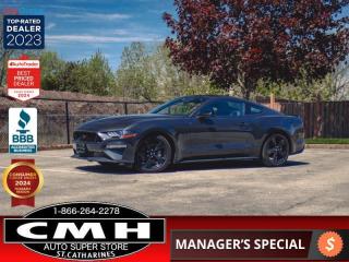 Used 2023 Ford Mustang GT Premium  **VERY LOW KMS - V8** for sale in St. Catharines, ON