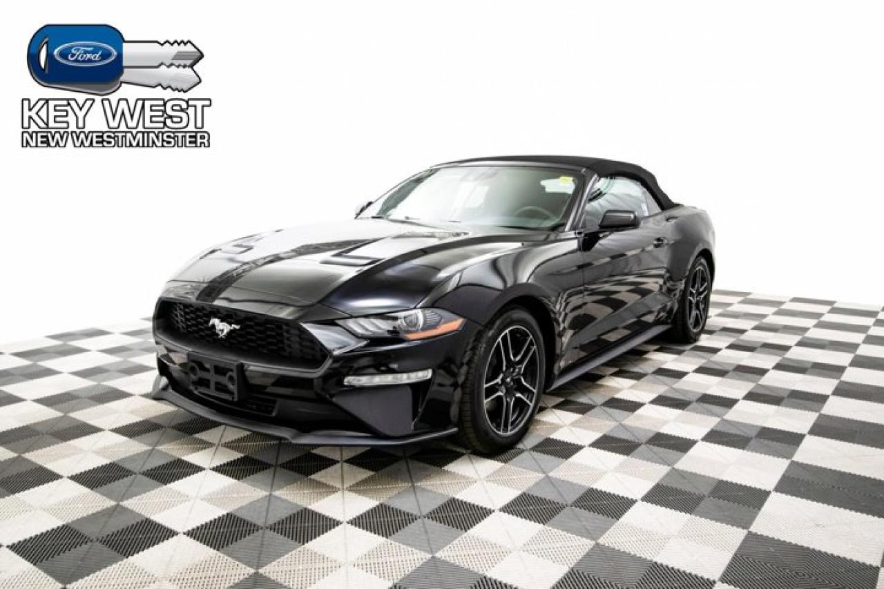 New 2023 Ford Mustang EcoBoost Premium Convertible for sale in New Westminster, BC