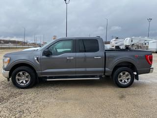 Used 2022 Ford F-150 4WD SuperCrew 5.5' Box for sale in Elie, MB