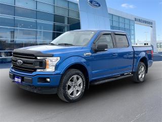 Used 2019 Ford F-150 XLT 5.0 Liter | 302a Sport | Moon Roof | Accident Free for sale in Winnipeg, MB