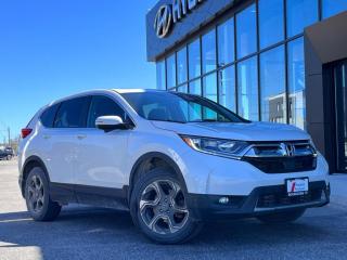 Used 2019 Honda CR-V EX-L AWD  - Sunroof -  Leather Seats for sale in Midland, ON