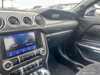 2021 Ford Mustang GT PREMIUM / 5.0 / ONE OWNER / NO ACCIDENTS - Photo #21