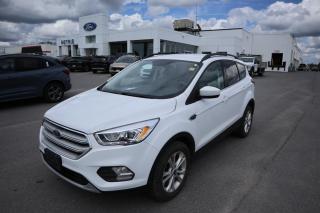 Used 2019 Ford Escape SEL for sale in Kingston, ON