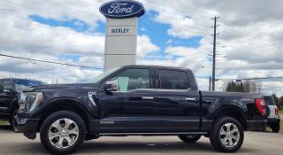 Used 2021 Ford F-150 PLATINUM for sale in Huntsville, ON
