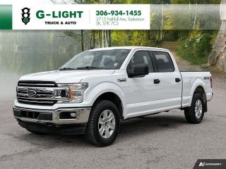 Used 2019 Ford F-150 XLT 4WD SuperCrew 5.5' Box 5.0 L for sale in Saskatoon, SK