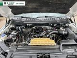 2019 Ford F-150 XLT 4WD SuperCrew 5.5' Box 5.0 L Photo35