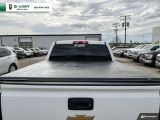 2018 Chevrolet Silverado 1500 4WD Crew Cab 143.5" LS  UNDER 66,000 KMS Photo34