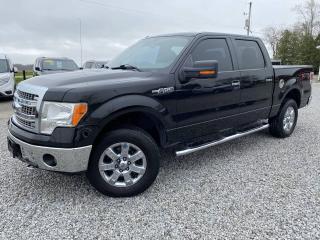 Used 2014 Ford F-150 XLT for sale in Dunnville, ON