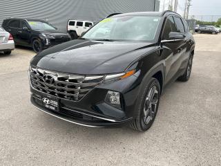 Used 2022 Hyundai Tucson Hybrid Luxury for sale in Winnipeg, MB