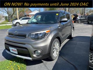 Used 2019 Kia Soul EX AUTO for sale in Windsor, ON