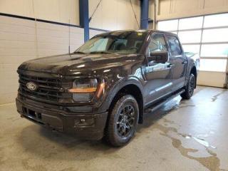New 2024 Ford F-150 XLT W/ BLACK APPEARANCE PACKAGE for sale in Moose Jaw, SK