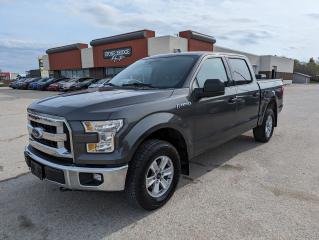 Used 2016 Ford F-150 XLT for sale in Steinbach, MB