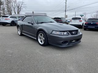 Used 2004 Ford Mustang GT Deluxe Convertible for sale in Truro, NS