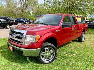 Used 2013 Ford F-150 XLT 4X4 for sale in Guelph, ON