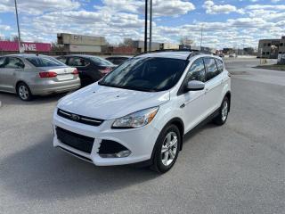 Used 2014 Ford Escape SE for sale in Winnipeg, MB