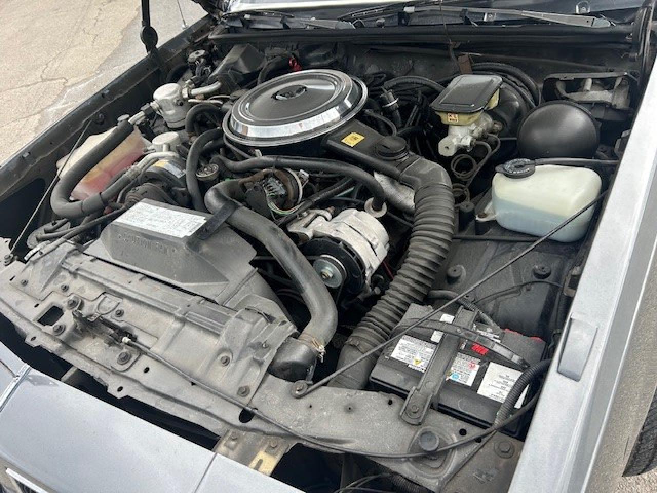 1986 Oldsmobile 442  - Photo #9