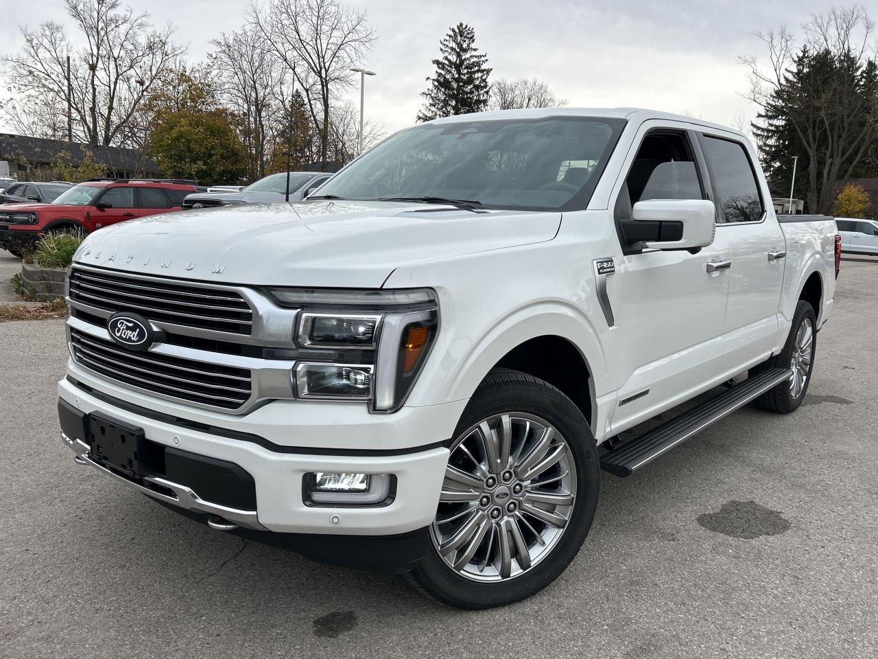 Used 2024 Ford F-150 PLATINUM for sale in Caledonia, ON