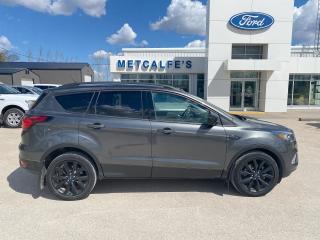 Used 2019 Ford Escape SE Appearance for sale in Treherne, MB