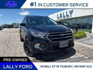 Used 2019 Ford Escape SE, AWD, Nav, One Owner!! for sale in Tilbury, ON
