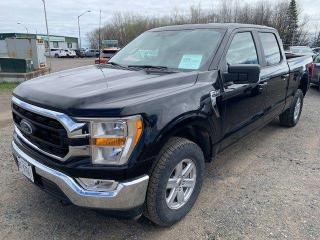 Used 2022 Ford F-150 XLT   Crew Cab for sale in Thunder Bay, ON