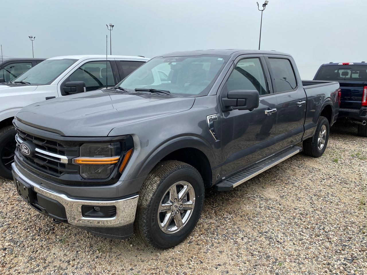 New 2024 Ford F-150 XLT 4WD SuperCrew 6.5' Box 301A for sale in Elie, MB