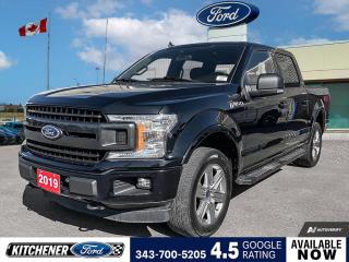 Used 2019 Ford F-150 XLT 302A | SPORT PACKAGE | NAVIGATION | FX4 PACKAGE for sale in Kitchener, ON