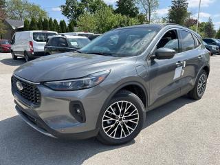 New 2024 Ford Escape PHEV  - Sunroof for sale in Caledonia, ON