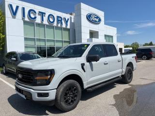 New 2024 Ford F-150 XLT Custom Hooligan's 2024 F-150 for sale in Chatham, ON