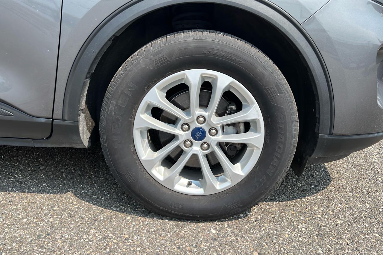 2022 Ford Escape SE AWD Photo