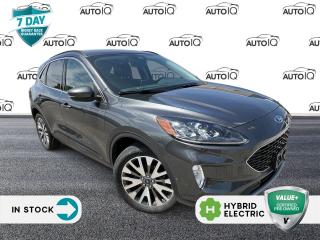 Used 2020 Ford Escape Titanium Hybrid AUTO HEADLIGHTS | NAV SYSTEM for sale in Oakville, ON