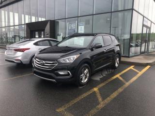 Used 2017 Hyundai Santa Fe SPORT PREMIUM for sale in Grand Falls-Windsor, NL