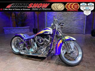 Used 1991 Harley-Davidson Springer FXSTS Custom - Nitrous, Edelbrock Heads, Tuned for sale in Winnipeg, MB