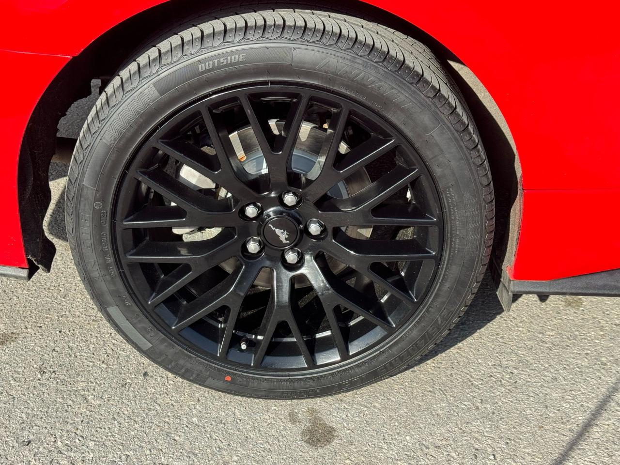 2019 Ford Mustang EcoBoost - Photo #11