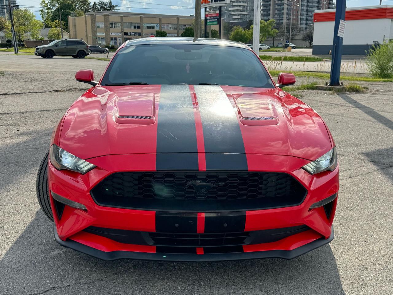 2019 Ford Mustang EcoBoost Photo2