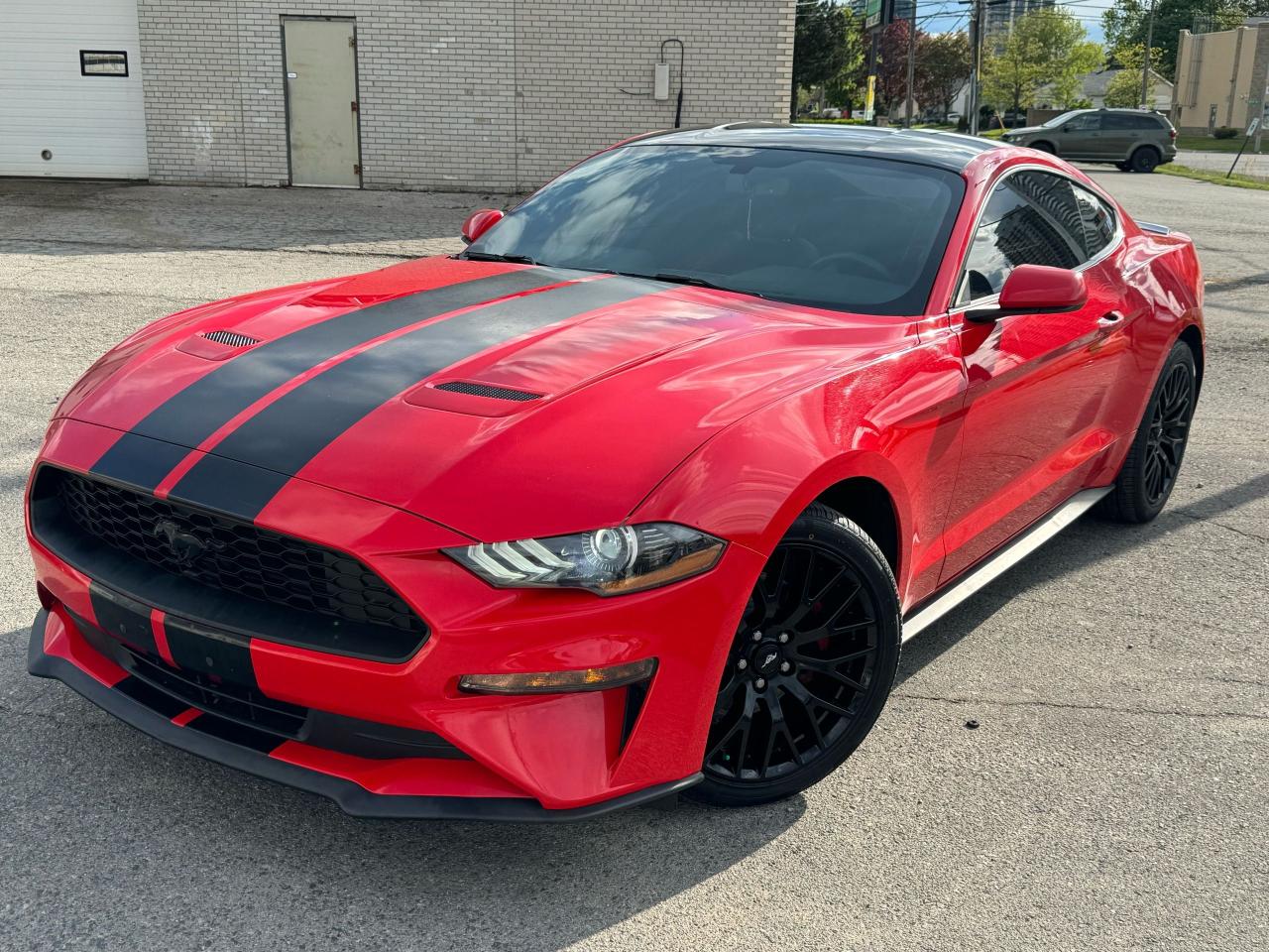 2019 Ford Mustang EcoBoost - Photo #10